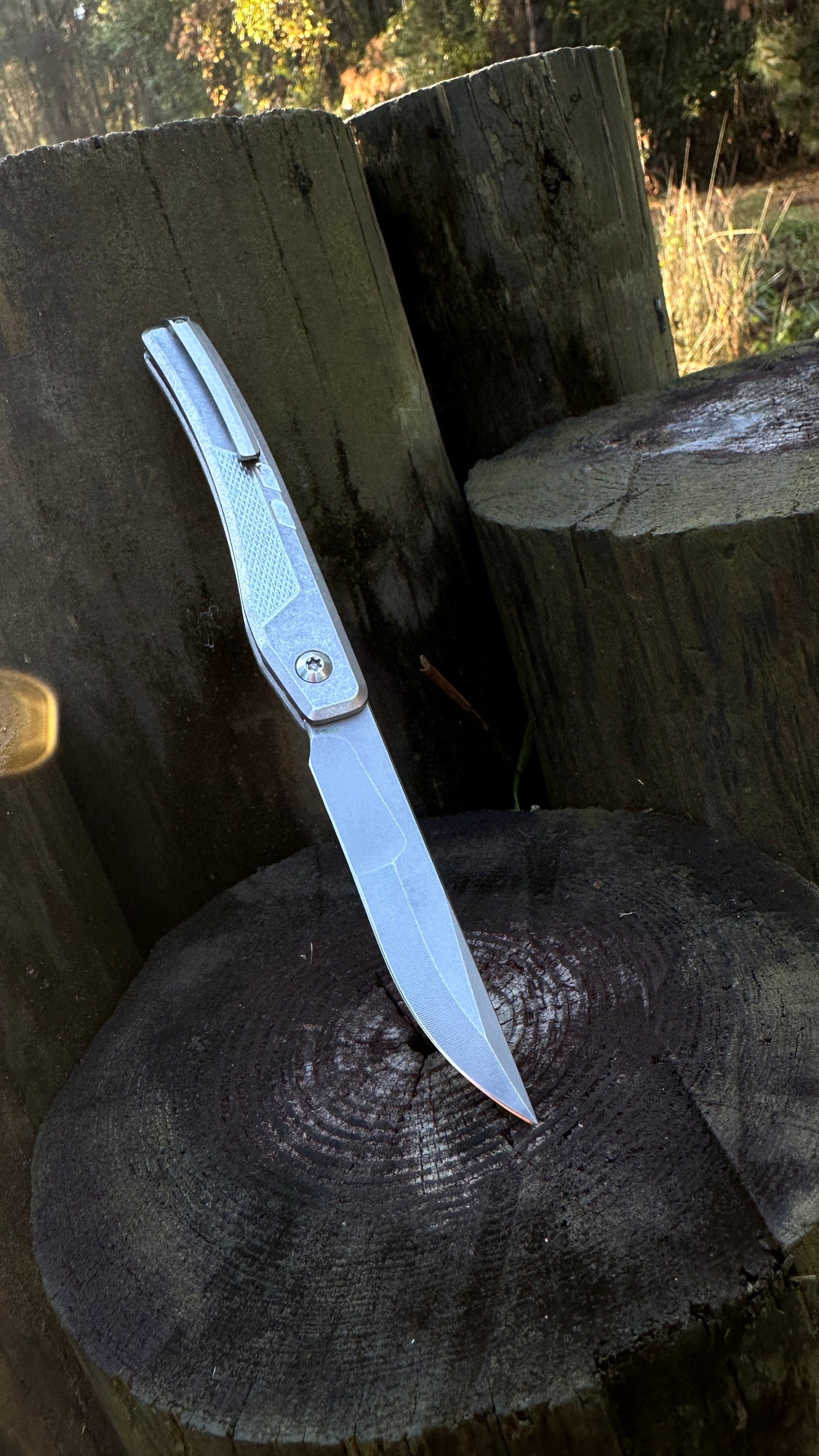 Barracuda SN:12