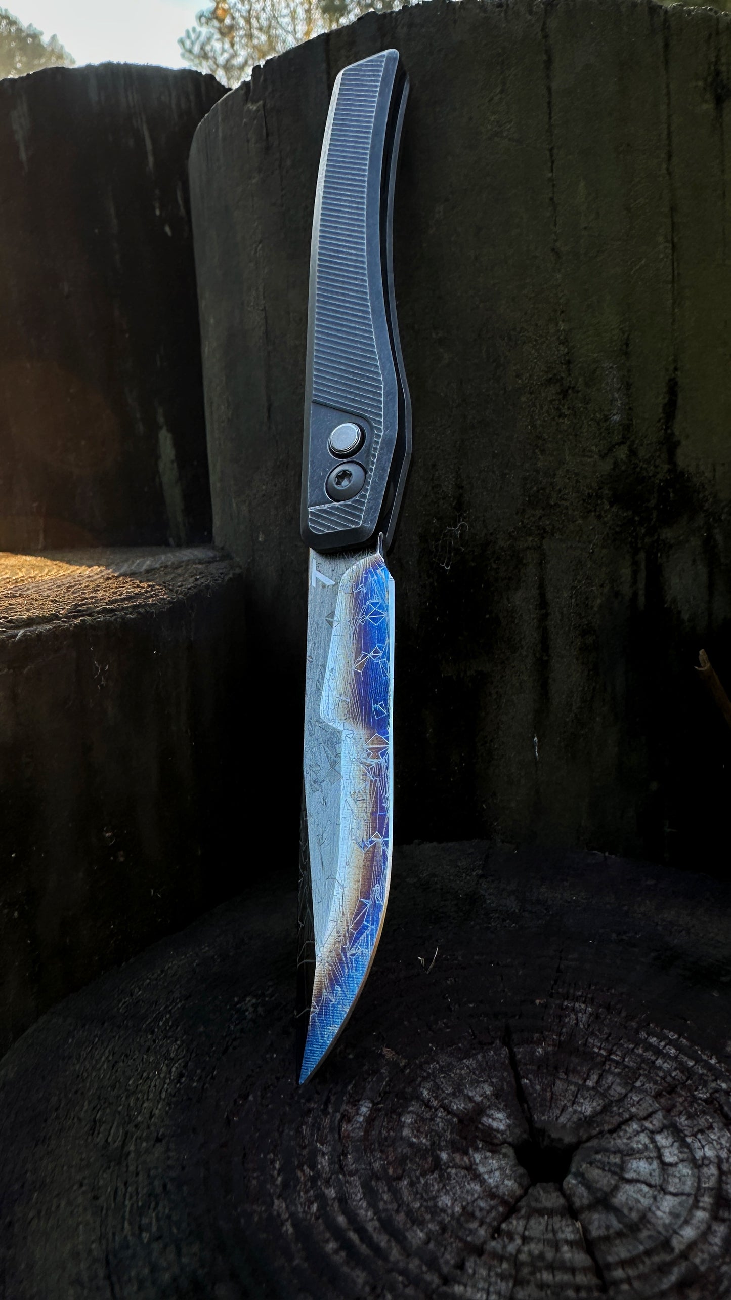 Barracuda SN:015