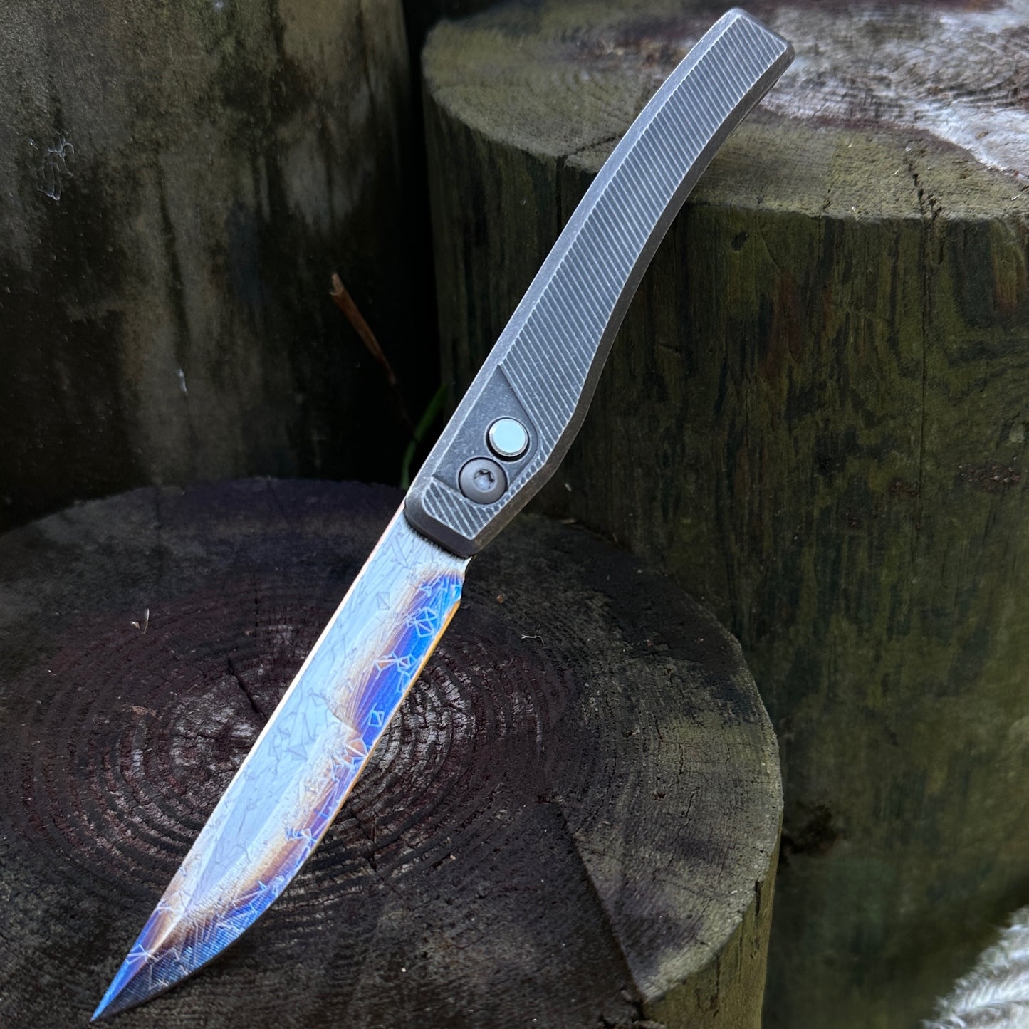 Barracuda SN:015
